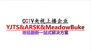 江苏省清洁服务行业协会副会长单位南京伊洁特斯环境科技有限公司近期还有哪些重要项目？