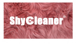 喜来登奥体酒店有害生物防治 地毯深层清洁 大理石镀膜抛光项目由南京伊洁特斯公司完成